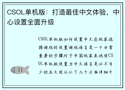 CSOL单机版：打造最佳中文体验，中心设置全面升级
